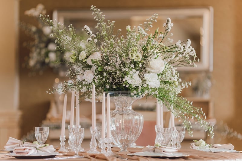 Starlit Reception